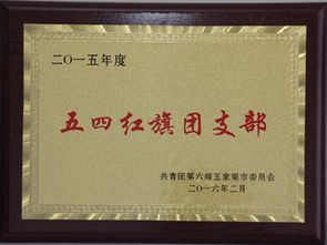 五家渠市政府 五家渠第三小學(xué)團(tuán)支部榮獲師市 五四紅旗團(tuán)委 稱號(hào)