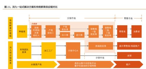鮮果服務商洪九果品 以強大供應鏈整合能力，定義水果產業標準化服務新標桿